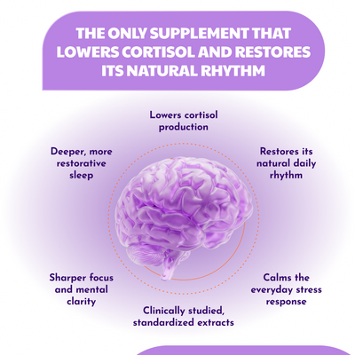 Corvela Steady Base™ Capsules - Lower Cortisol, Restore Your Rhythm