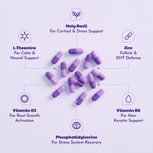 Corvela Steady Base™ - Lower Cortisol, Restore Your Rhythm