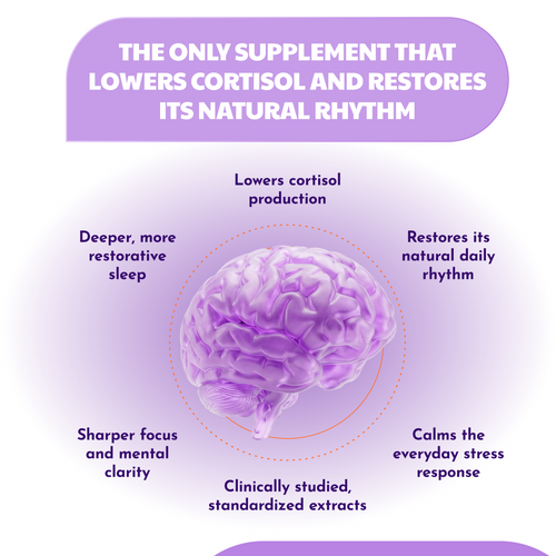 Corvela Steady Base™ Capsules - Lower Cortisol, Restore Your Rhythm - Home P