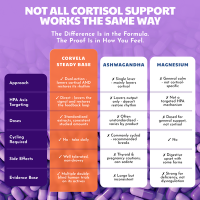Corvela Steady Base™ Capsules - Lower Cortisol, Restore Your Rhythm - Home P